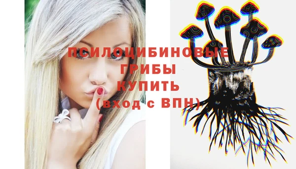 apvp Кодинск