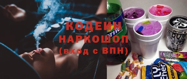 apvp Кодинск