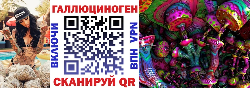 Псилоцибиновые грибы Psilocybe  Купить  Армянск 
